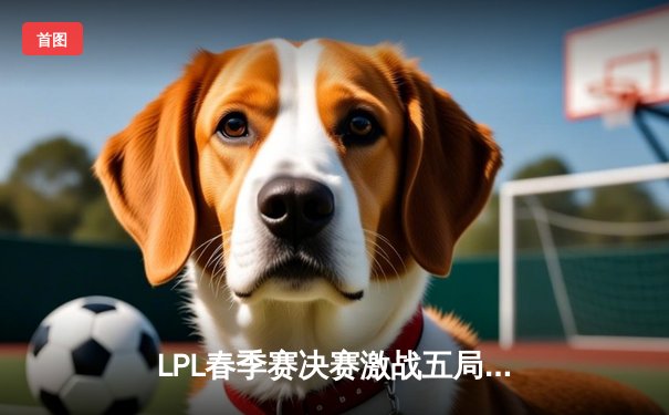LPL春季赛决赛激战五局，JDG战队3:2险胜TES成功卫冕