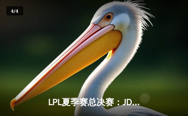 LPL夏季赛总决赛：JDG鏖战五局力克BLG，Knight沙皇关键推挽定乾坤 - 4
